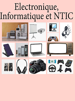 Electronique, Informatique et NTIC